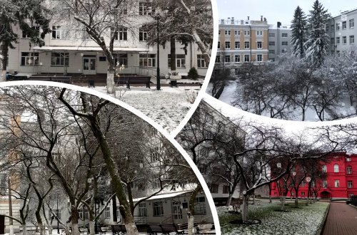 Колектив хімічного факультету щиро вітає вас із Різдвом та Новим роком!